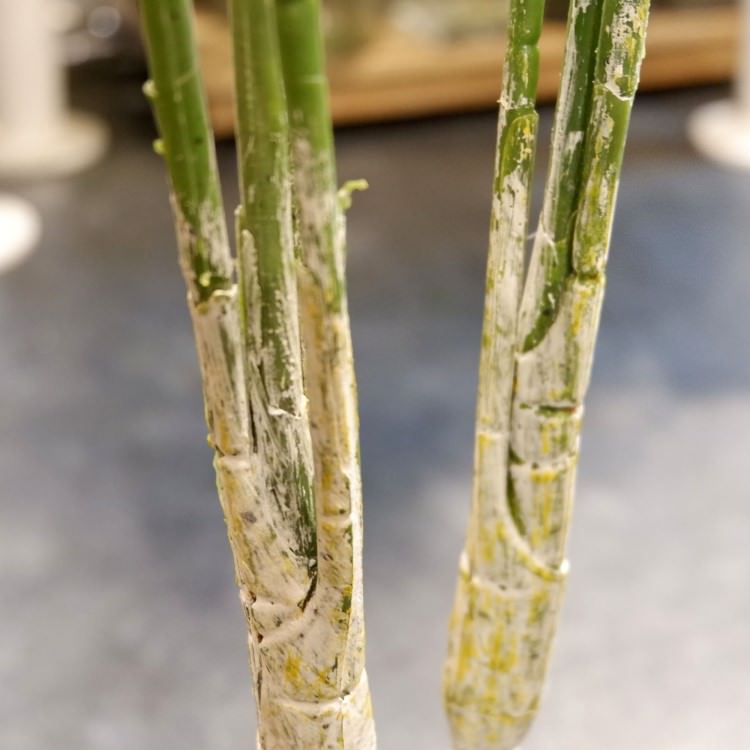 쥫ѡ 160cmGLA-1369 ƥե륰꡼ ͹տʪ ȭդ꡼