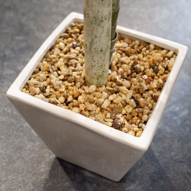 쥫ѡ 160cmGLA-1369 ƥե륰꡼ ͹տʪ ȭդ꡼