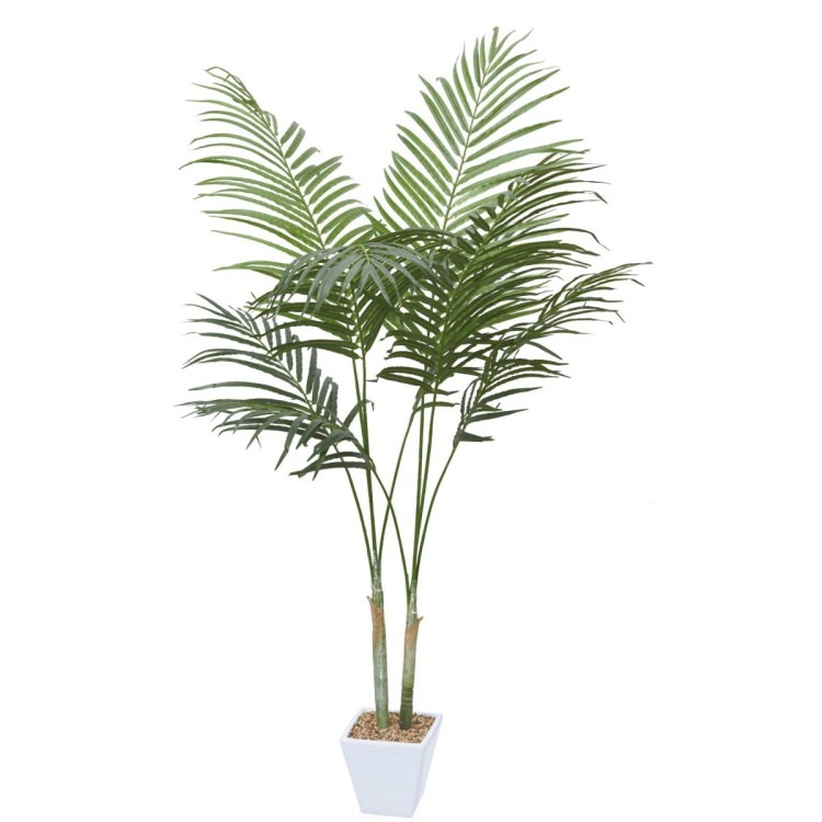 쥫ѡ 160cmGLA-1369 ƥե륰꡼ ͹տʪ ȭդ꡼