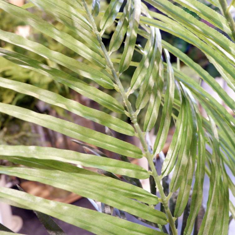 쥫ѡ 160cmGLA-1369 ƥե륰꡼ ͹տʪ ȭդ꡼