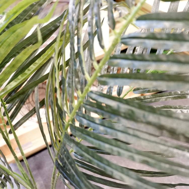 쥫ѡ 160cmGLA-1369 ƥե륰꡼ ͹տʪ ȭդ꡼