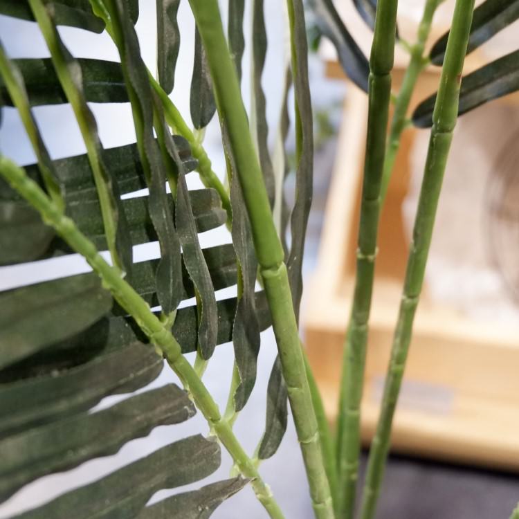 쥫ѡ 160cmGLA-1369 ƥե륰꡼ ͹տʪ ȭդ꡼