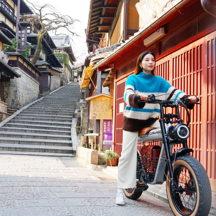 [��ư�������ȼ�ž��] COSWHEEL MIRAI GT ���������졼��EBIKE �����Υ�������Բ� ����̵��