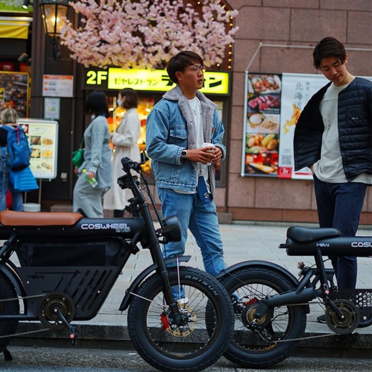 [��ư�������ȼ�ž��] COSWHEEL MIRAI GT ���������졼��EBIKE �����Υ�������Բ� ����̵��