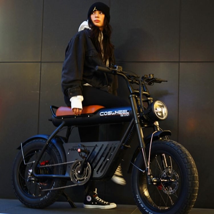 [��ư�������ȼ�ž��] COSWHEEL MIRAI GT ���������졼��EBIKE �����Υ�������Բ� ����̵��