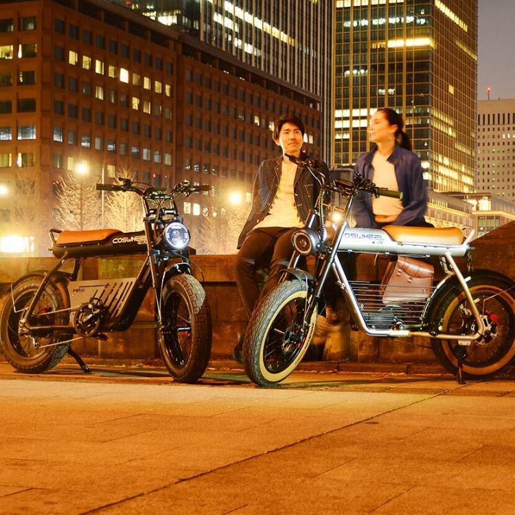 [��ư�������ȼ�ž��] COSWHEEL MIRAI GT ���������졼��EBIKE �����Υ�������Բ� ����̵��
