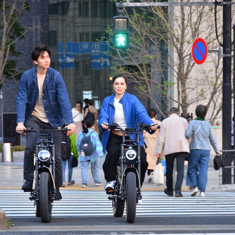 [��ư�������ȼ�ž��] COSWHEEL MIRAI GT ���������졼��EBIKE �����Υ�������Բ� ����̵��