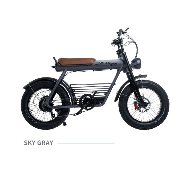 [��ư�������ȼ�ž��] COSWHEEL MIRAI GT ���������졼��EBIKE �����Υ�������Բ� ����̵��