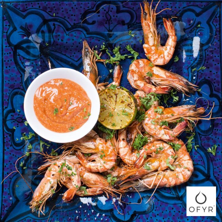 OFYR(���ե���) ���å��֥å��å����ȥɥ������ ���������꡼ ���å���ġ��� �쥷�ԥ֥å� �С��٥��塼����� �������� �����ȥɥ� ���å���  OF-CBNO1ENDE