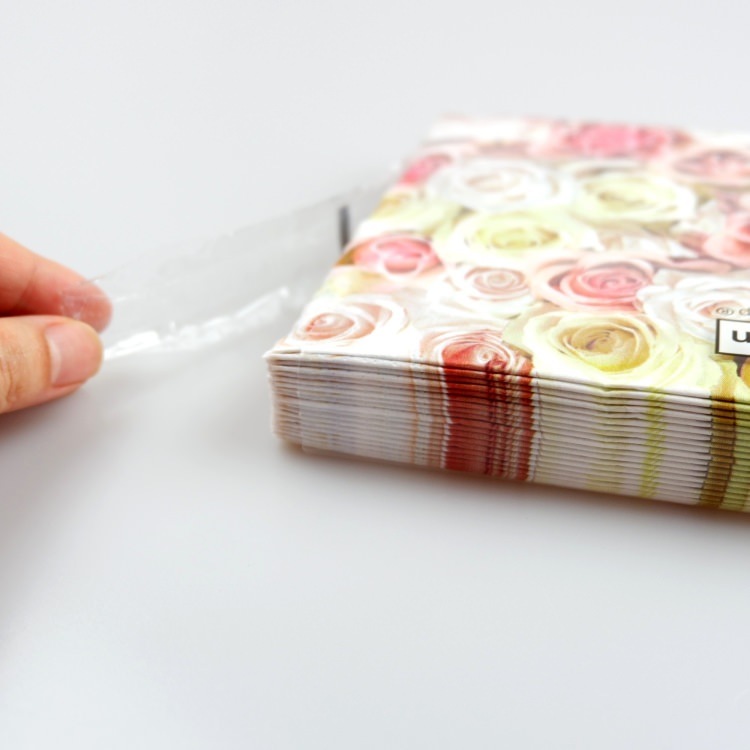 ʥץ(20)3333cm PAPER+DESIGN « PD200340