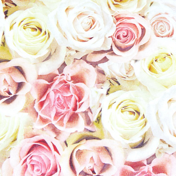 ʥץ(20)3333cm PAPER+DESIGN « PD200340