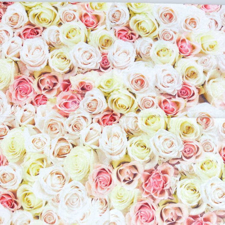 ʥץ(20)3333cm PAPER+DESIGN « PD200340