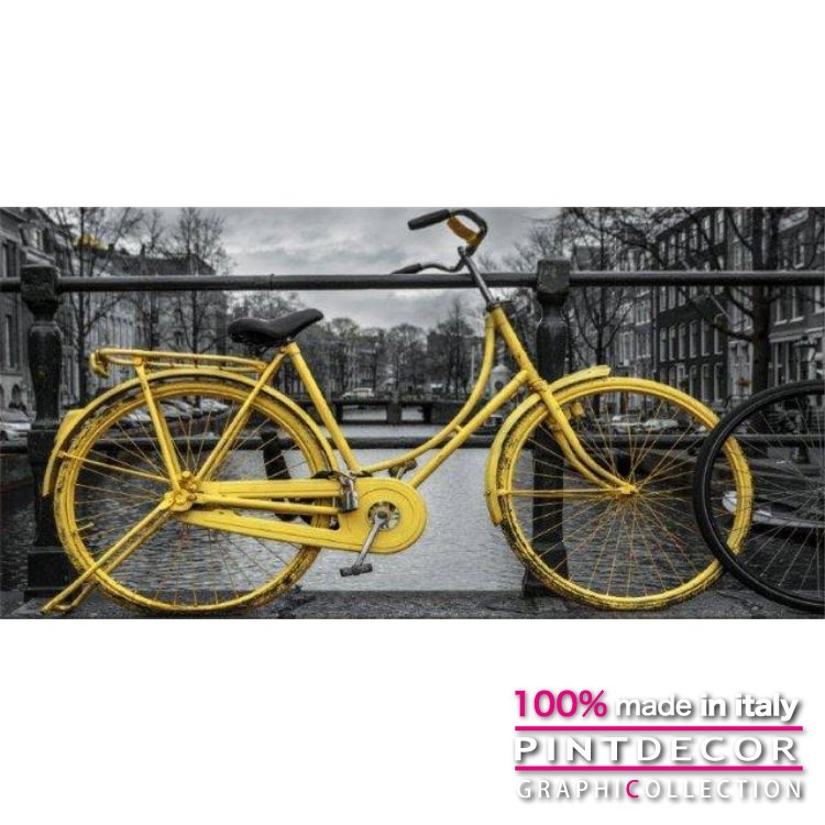 ե쥯Υǥ졼ѥͥ롪ꥢޤΥ󥢡ȡQUADRO AMSTERDAM G2628 [߸ͭ]