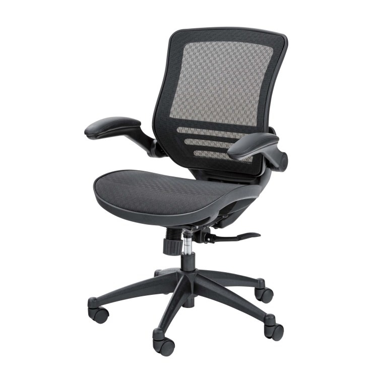 ���ե�������������ë AZUMAYA ������ ��Ω�� �ǥ�����ե��˥��㡼 ����ƥꥢ �ȶ� 