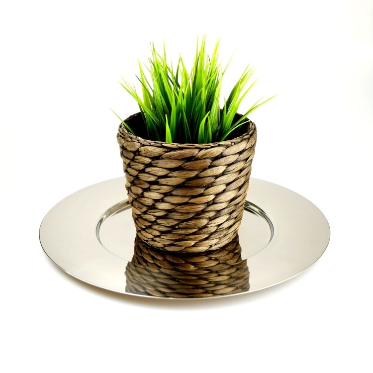 [����] ZACK 20356 MESON �ɥ���ZACK���������ǥ�����Υ�������ץ졼��