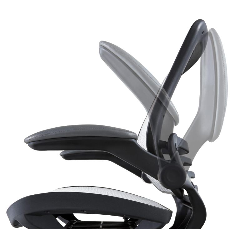 եë AZUMAYA  Ω ǥե˥㡼 ƥꥢ ȶ 