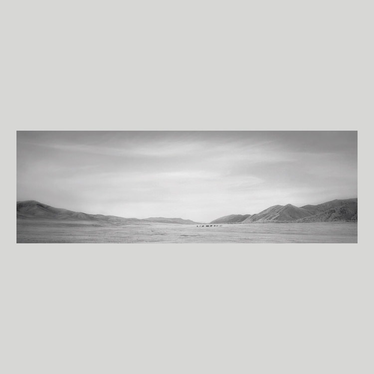 IGREBOW 󥴥 ƥ른𸶤ҡ[å 13] ܥ ƥꥢե ԥ㡼 ̿