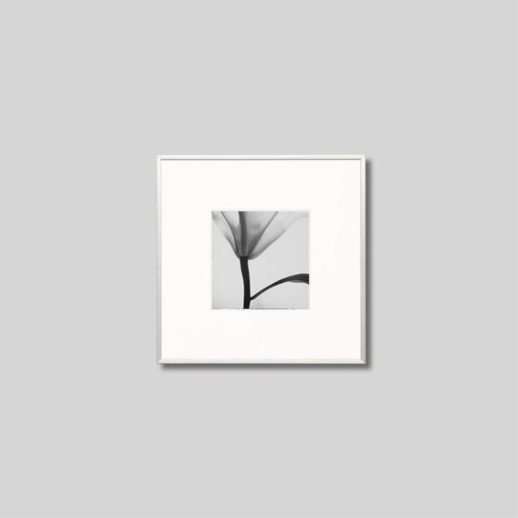 IGREBOW ���β֡�[����� 1��1] ��������ܥ� ����ƥꥢ�ե��� �ԥ����㡼������ �̿�