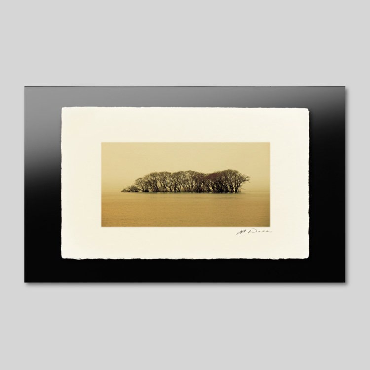 IGREBOW 츩 ʸФ⤫־[» 12] ܥ ƥꥢե ԥ㡼 ̿