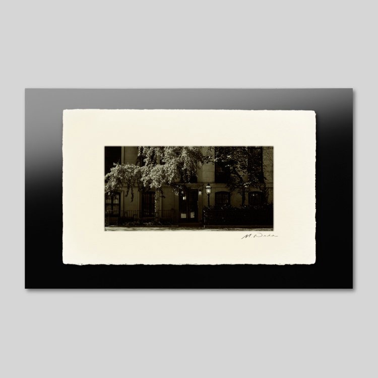 IGREBOW �˥塼�衼�� �����륷���γ��¤ߡ�[�»� 1��2] ��������ܥ� ����ƥꥢ�ե��� �ԥ����㡼������ �̿�