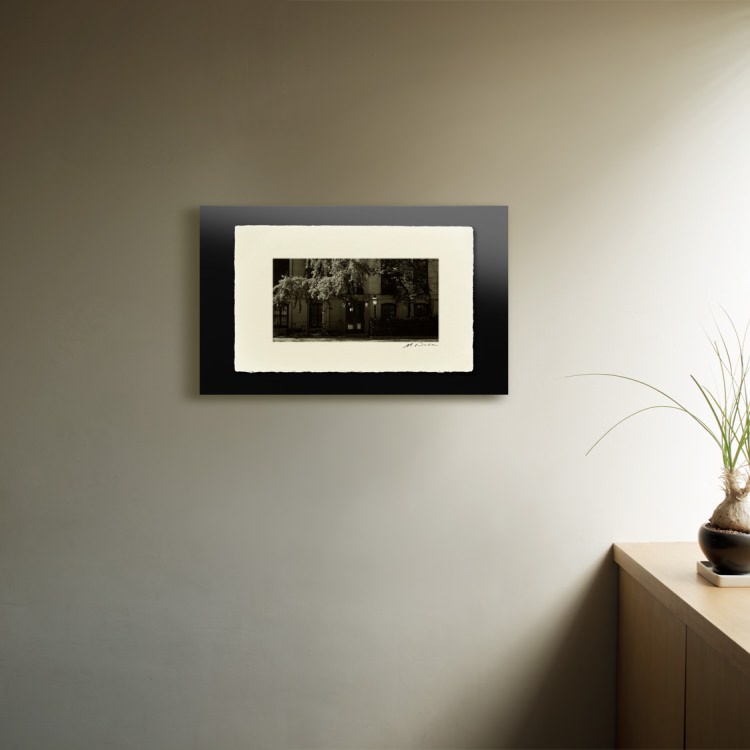 IGREBOW �˥塼�衼�� �����륷���γ��¤ߡ�[�»� 1��2] ��������ܥ� ����ƥꥢ�ե��� �ԥ����㡼������ �̿�