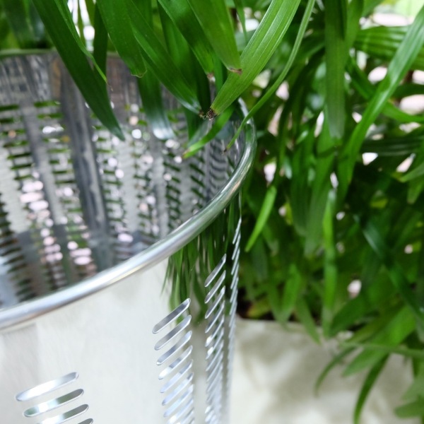 [] ZACK 50534 PRODA ɥZACKǥΥڡѡХå(Ȣ)L