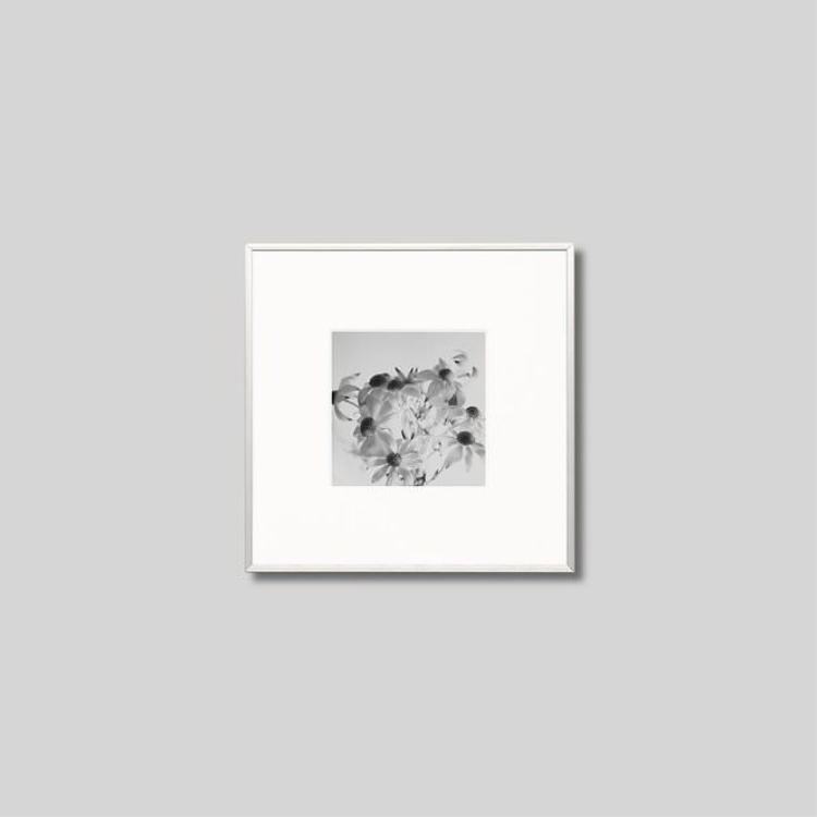 IGREBOW �ե��ͥ�ե��β֡�[����� 1��1] ��������ܥ� ����ƥꥢ�ե��� �ԥ����㡼������ �̿�