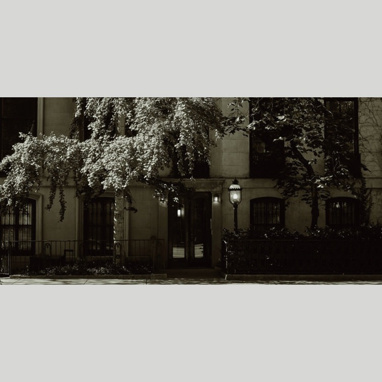 IGREBOW ˥塼衼 륷γ¤ߡ[å 12] ܥ ƥꥢե ԥ㡼 ̿