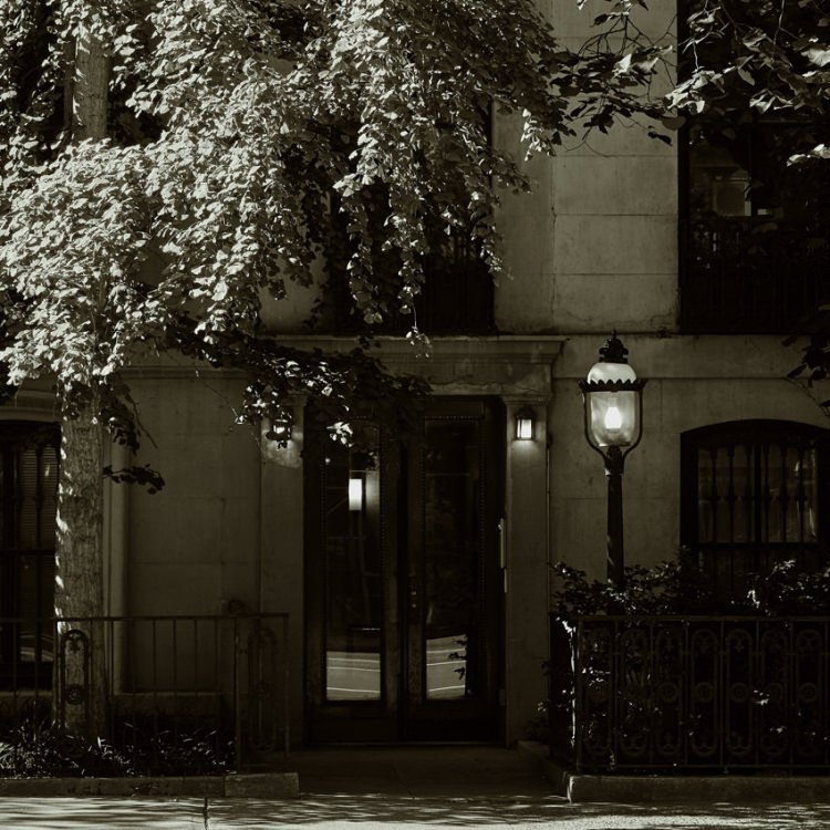 IGREBOW ˥塼衼 륷γ¤ߡ[å 12] ܥ ƥꥢե ԥ㡼 ̿