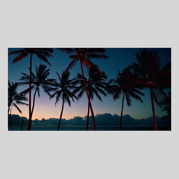 IGREBOW ˥塼ɥ˥ ɥơ̥ᥢ ͼΥӡΥ䥷[ 12] ܥ ƥꥢե ԥ㡼 ̿