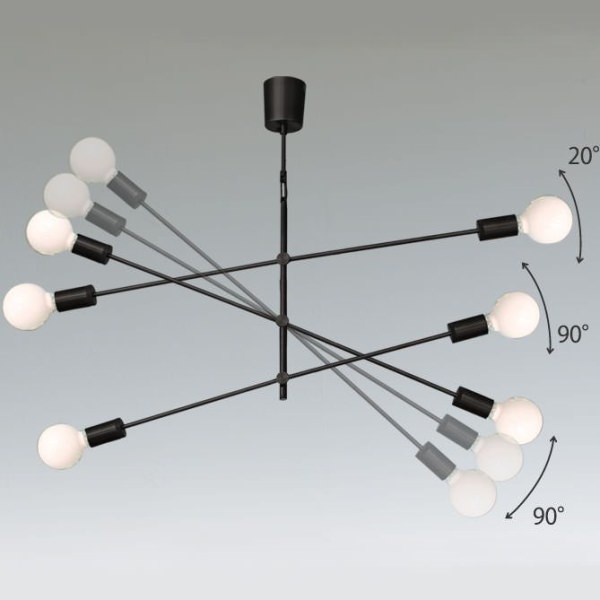 DI CLASSE(ǥå)ΥڥȥסCardinal P/L BK ǥʥ ֥å