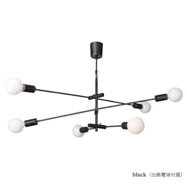 DI CLASSE(ǥå)ΥڥȥסCardinal P/L BK ǥʥ ֥å