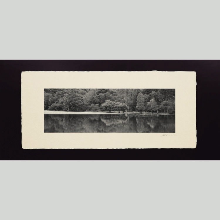 IGREBOW ���ڸ� �Ť����ʤ����θС�[�»� 1��3] ��������ܥ� ����ƥꥢ�ե��� �ԥ����㡼������ �̿�