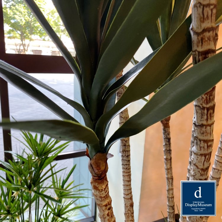 ꡼󥢥󥸥 (å)230cmòͥǥץ쥤ߥ塼 FBCD-5000 ƥե륰꡼ ꡼󥢥󥸥 ¤ ١դ