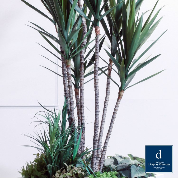 ꡼󥢥󥸥 (å)230cmòͥǥץ쥤ߥ塼 FBCD-5000 ƥե륰꡼ ꡼󥢥󥸥 ¤ ١դ