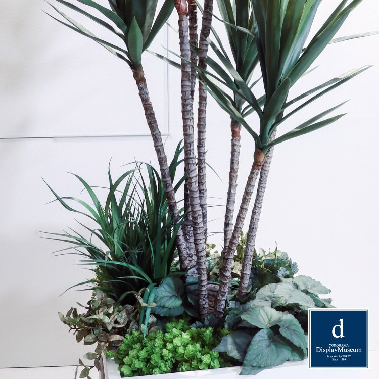 ꡼󥢥󥸥 (å)230cmòͥǥץ쥤ߥ塼 FBCD-5000 ƥե륰꡼ ꡼󥢥󥸥 ¤ ١դ