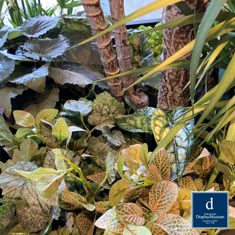 ꡼󥢥󥸥 (å)230cmòͥǥץ쥤ߥ塼 FBCD-5000 ƥե륰꡼ ꡼󥢥󥸥 ¤ ١դ