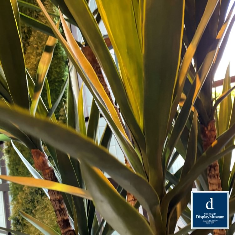 ꡼󥢥󥸥 (å)230cmòͥǥץ쥤ߥ塼 FBCD-5000 ƥե륰꡼ ꡼󥢥󥸥 ¤ ١դ