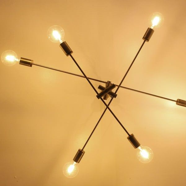 DI CLASSE(ǥå)ΥڥȥסCardinal P/L BR ǥʥ ֥饦