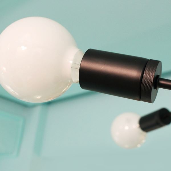 DI CLASSE(ǥå)ΥڥȥסCardinal P/L BR ǥʥ ֥饦