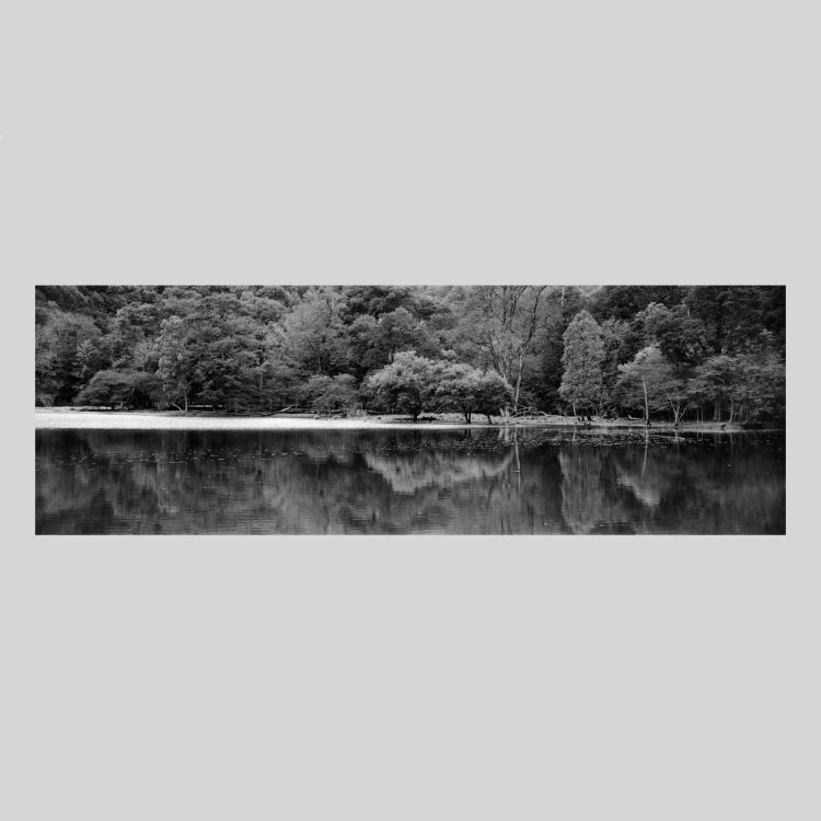 IGREBOW ���ڸ� �Ť����ʤ����θС�[���å� 1��3] ��������ܥ� ����ƥꥢ�ե��� �ԥ����㡼������ �̿�