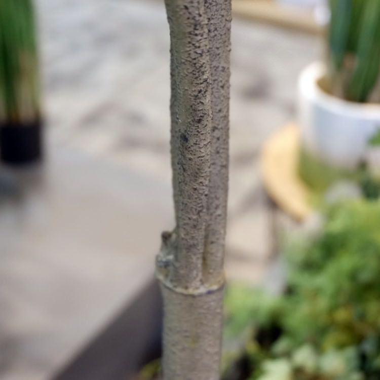 ٥顼 120cmGLA-1437 ƥե륰꡼ ͹տʪ ȭդ꡼