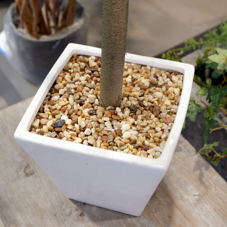 ٥顼 120cmGLA-1437 ƥե륰꡼ ͹տʪ ȭդ꡼