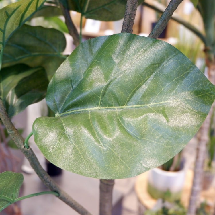 ٥顼 120cmGLA-1437 ƥե륰꡼ ͹տʪ ȭդ꡼