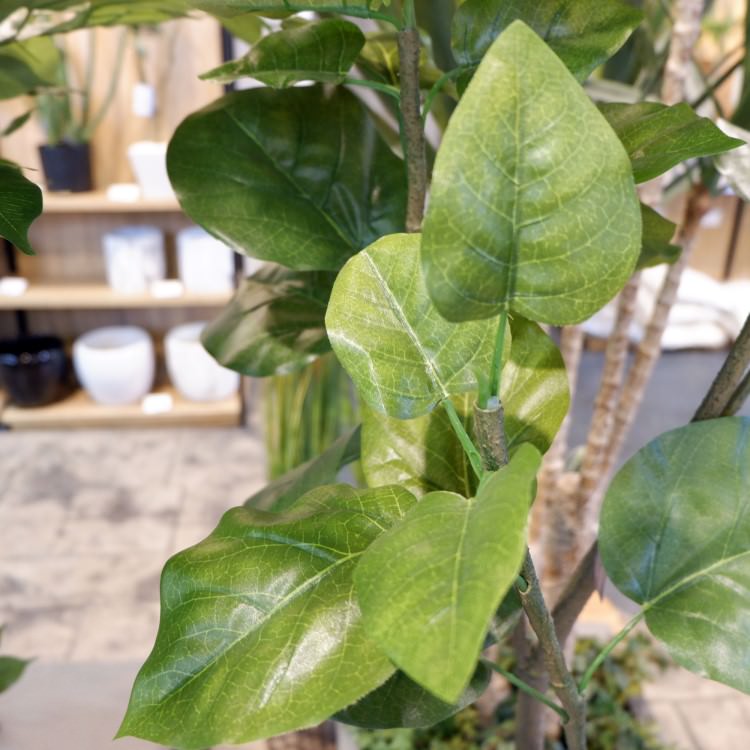 ٥顼 120cmGLA-1437 ƥե륰꡼ ͹տʪ ȭդ꡼