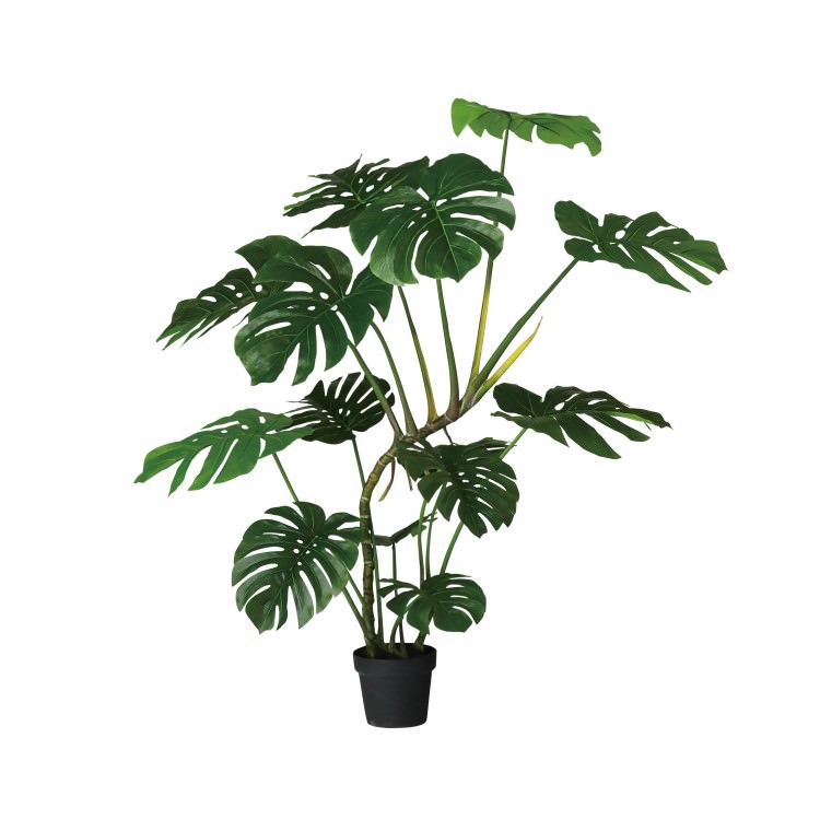 磻ɥ󥹥ƥ W110H120cmTK91871 ƥե륰꡼ ͹տʪ ͹ ꡼