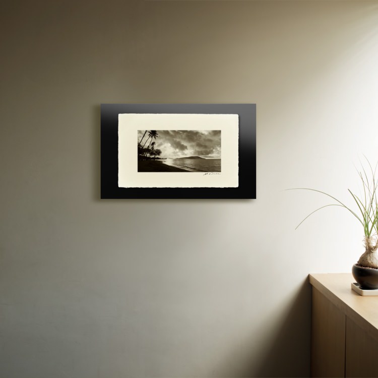 IGREBOW �ϥ磻 �������γ����鸫�륫�磻�ۥ�Ⱦ���[�»� 1��2] ��������ܥ� ����ƥꥢ�ե��� �ԥ����㡼������ �̿�