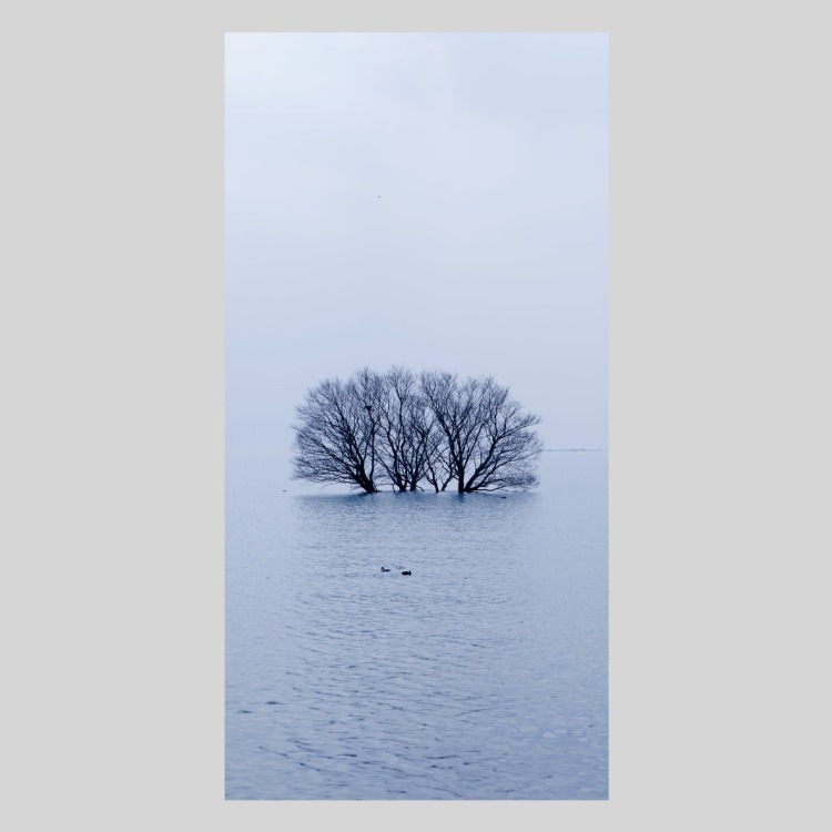 IGREBOW 츩 ߤʸ Фڡ[å 12] ܥ ƥꥢե ԥ㡼 ̿