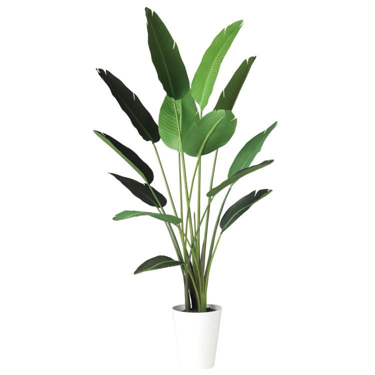 ���������� W90��H190cm��TK91873 �����ƥ��ե�����륰�꡼�� �͹����տ�ʪ �͹����� ȭ�դ����꡼��