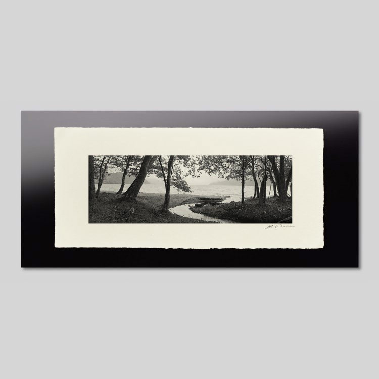 IGREBOW ���ڸ� �������С�[�»� 1��3] ��������ܥ� ����ƥꥢ�ե��� �ԥ����㡼������ �̿�